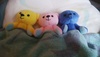 Thumbnail_dsc_0003
