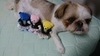 Thumbnail_dsc_0189