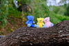 Thumbnail_897f2578-1c17-4557-9ecf-c7c844a2253a