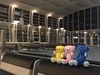 Thumbnail_img_2152