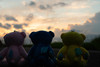 Thumbnail_dsc05014