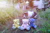 Thumbnail_05376b69-477c-4ecd-b9eb-e1354a47c4ca