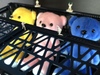 Thumbnail_33bdf98f-583a-4f67-91b2-3fa9bcdd5a49