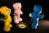 Thumbnail_dsc05158
