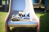 Thumbnail_img_20180907_134033