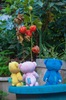 Thumbnail_67190f20ea5b99f4b0e6d1b298426258