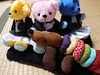 Thumbnail_dsc_0079