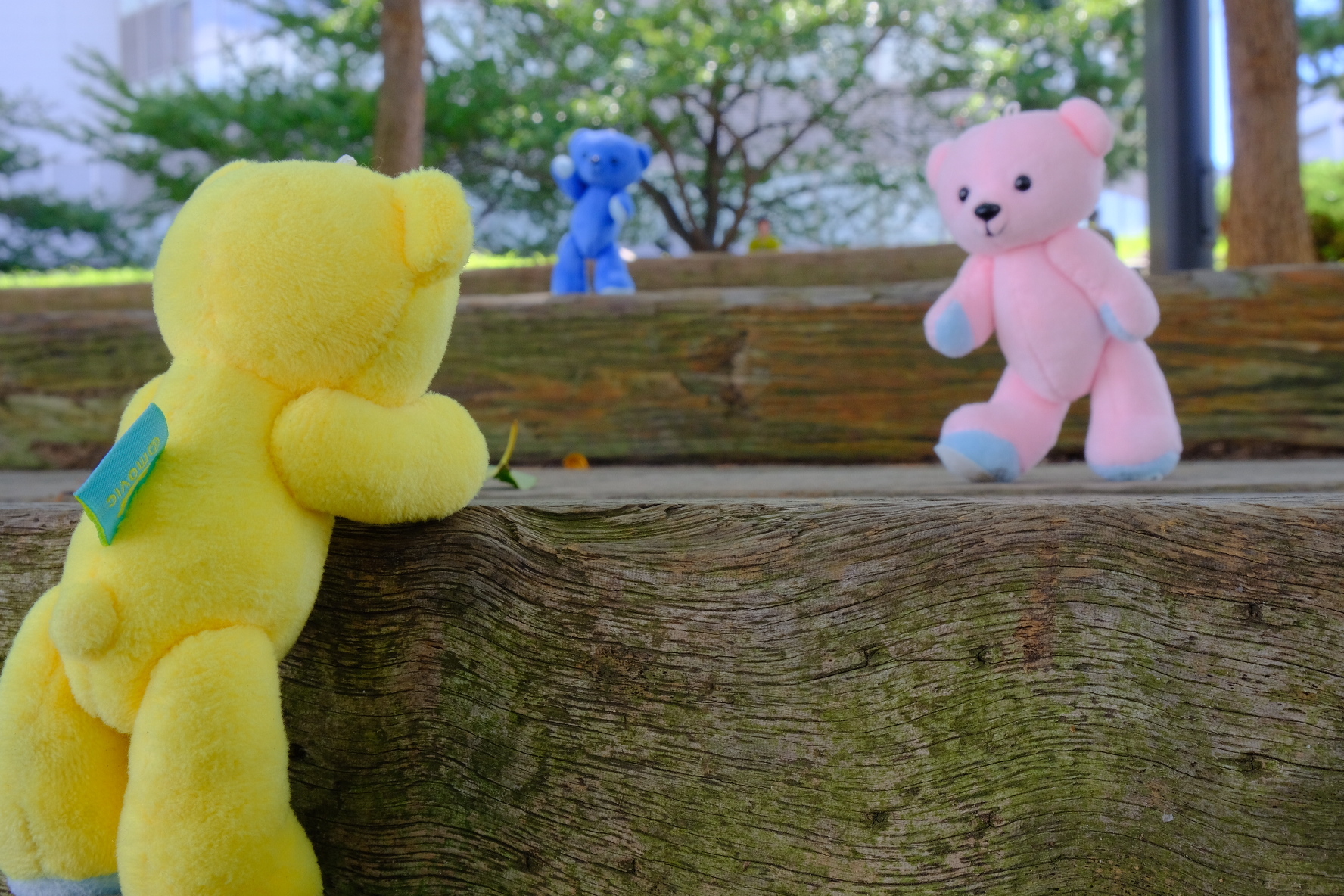 1b1a014d-13b4-4ff9-863f-364d52962b49