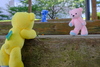 Thumbnail_1b1a014d-13b4-4ff9-863f-364d52962b49