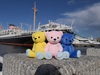 Thumbnail_p1280046