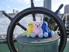 Thumbnail_p1280057