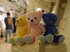 Thumbnail_p1280066