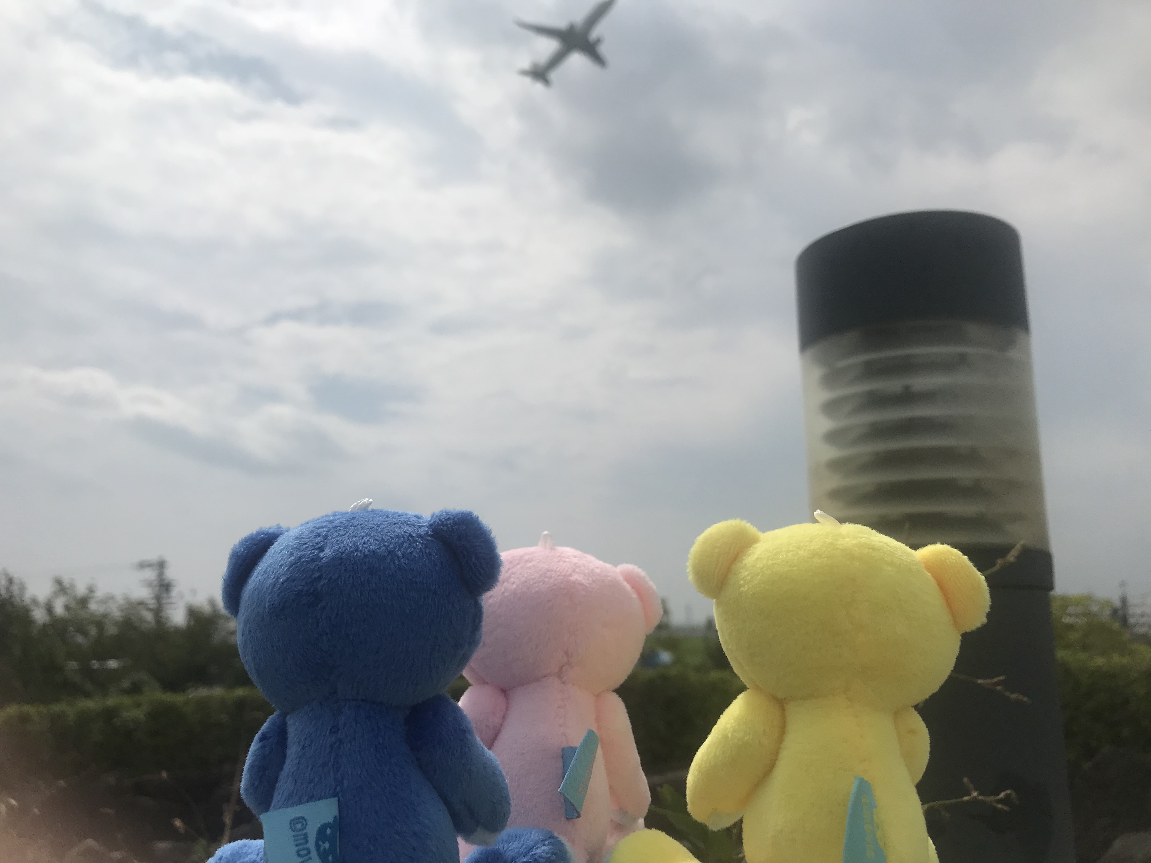 767fb66a-0096-45ff-8f56-a6cb7e3b2d55