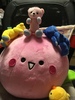 Thumbnail_02b4d854-7685-4e3c-89b2-774d2978a412