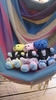 Thumbnail_dsc_0040