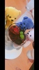 Thumbnail_1f4e0c3b-1d39-4cfe-9369-d0c87938dd7d