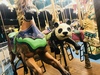 Thumbnail_7a8c69ed-5a88-451f-a430-7565a74c626b