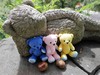 Thumbnail__p1100204