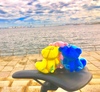Thumbnail_fb164569-d4d6-46bc-abb5-d175701dce40