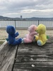 Thumbnail_img_4961