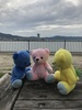 Thumbnail_img_4960