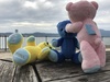 Thumbnail_img_4958