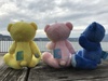 Thumbnail_img_4955