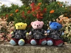 Thumbnail_5206c4b4-43ed-4cfb-ae9a-94644c6bb034