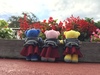 Thumbnail_4cbe0bba-6b56-4975-bde9-d980ae1689a2