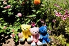 Thumbnail_78118a0c-dfcb-4182-9e3e-4327b666d89a