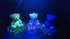 Thumbnail_dsc_1452