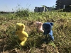 Thumbnail_437b971a-5de5-4471-84c3-4742f56a2ca6