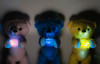 Thumbnail_dsc05304