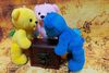 Thumbnail_dsc05321