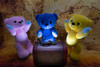 Thumbnail_dsc05319