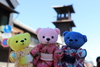 Thumbnail_img_5525