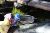 Thumbnail_img_5609-2