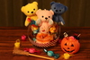Thumbnail_img_5688