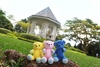Thumbnail_img_8722-01