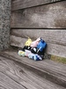 Thumbnail_dsc_0151