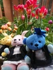 Thumbnail_dsc_0227