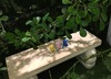 Thumbnail_img_5818