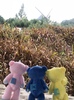 Thumbnail_09b9c239-440d-4e22-a136-2620e5903ad1