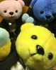 Thumbnail_img_1007