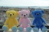 Thumbnail_dsc_4886_%e5%9c%a7%e7%b8%ae%ef%bc%92