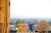 Thumbnail_dsc_5238