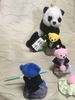 Thumbnail_img_0370