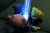 Thumbnail_img_4419