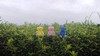Thumbnail_img_20180930_164714