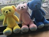 Thumbnail_ac2d90db-175d-47a4-a99f-500b87c67ff8